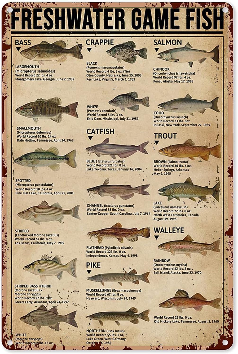 Retro Gaming Decor - Y1, Balıkçılık Sanatı Posterleri Metal Tabela